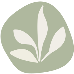efeito-faas.pages.dev favicon
